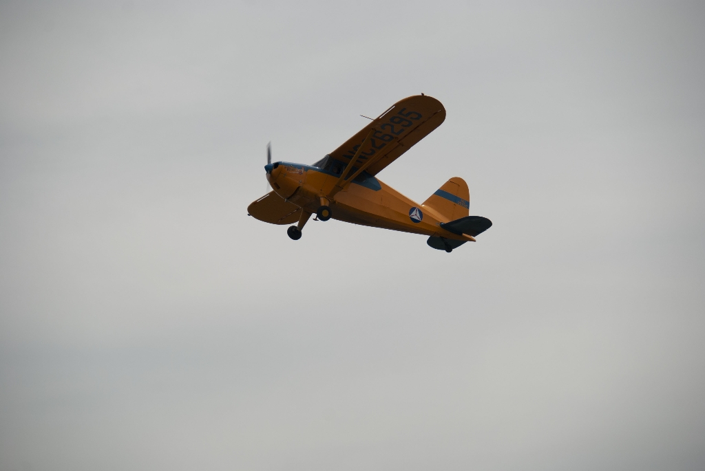 DSC_2851.jpg